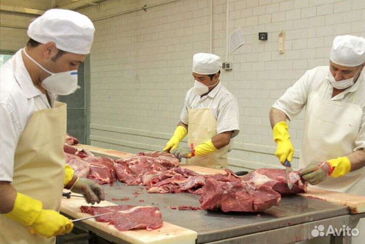 Разнорабочий Вахта(г.Владимир)