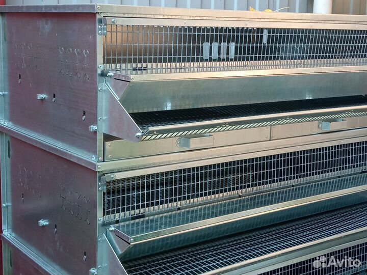 Клетки для перепелов