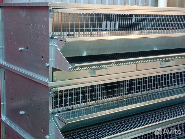 Клетки для перепелов