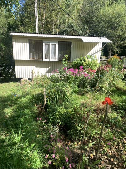 Дача 23 м² на участке 12 сот.