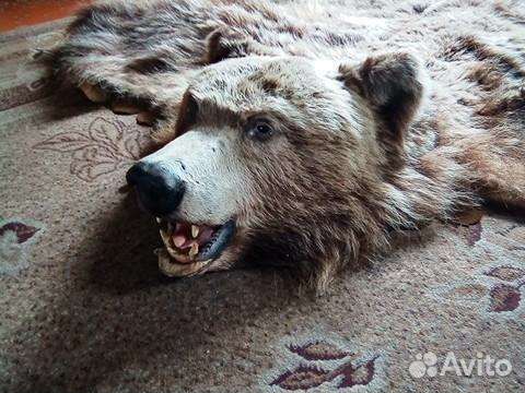 Чучела(выделка)