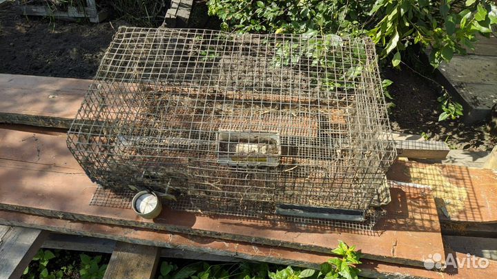 Клетка для перепёлок или кроликов