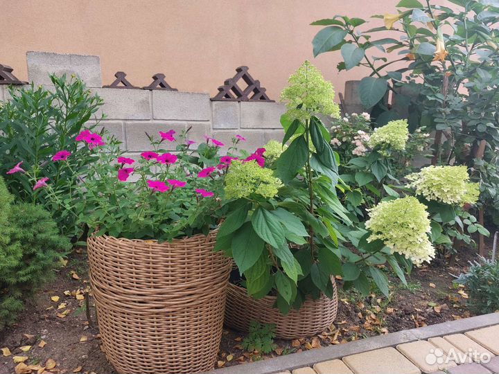 Кашпо и корзинки из ротанга