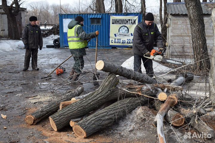 Спил деревьев расчистка участка корчевание пней
