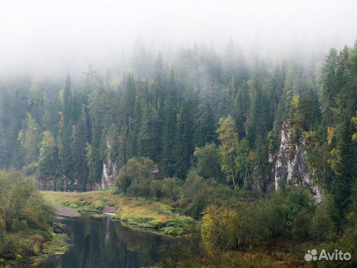 Екатеринбург Топ-Экскурсия Треккинг ипикник вприро