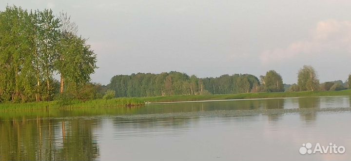Водное Речное такси