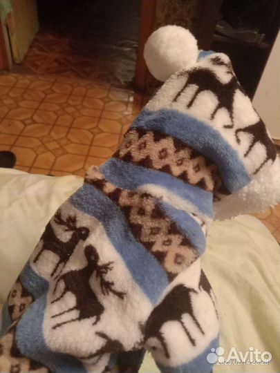 Одежда для маленьких собак