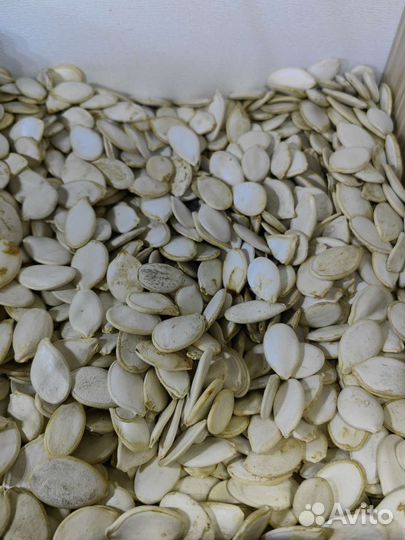 Семечки тыквенные неочищенные