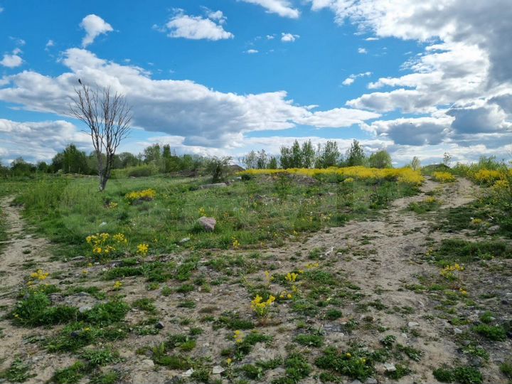 Участок 12 сот. (ИЖС)