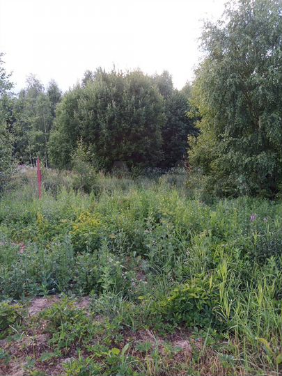 Участок 15 сот. (ИЖС)