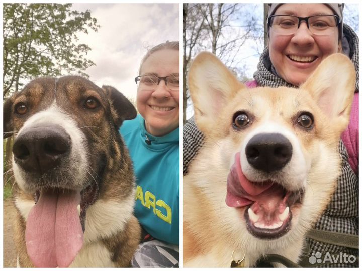 Выгул собак Выгульщик Удельная