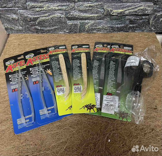 Террариумистика