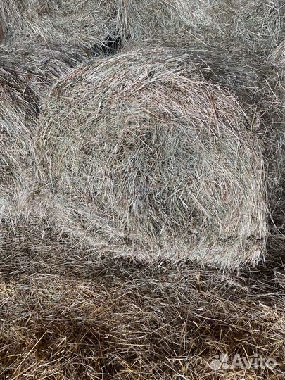 Сено в рулонах