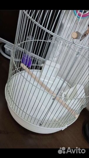 Клетка для попугая