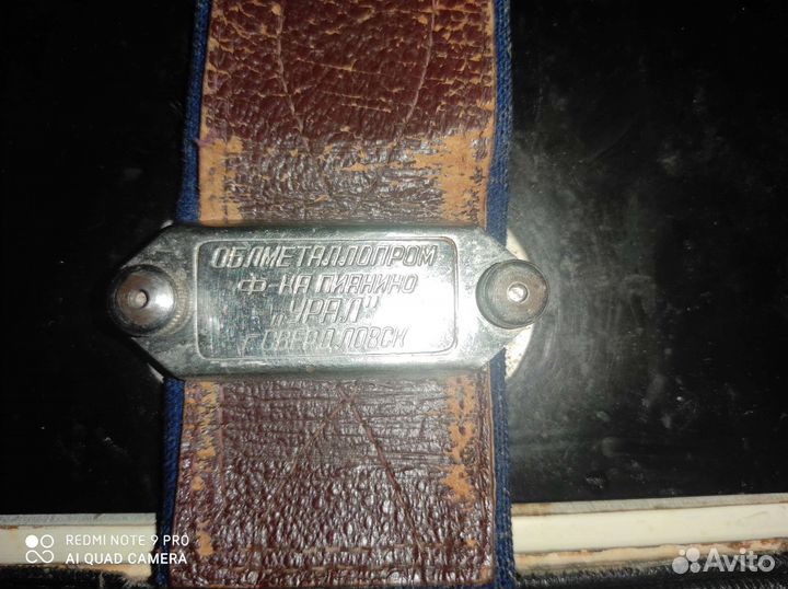 Баян березка