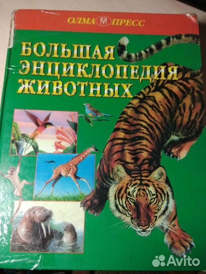 Детская энциклопедия