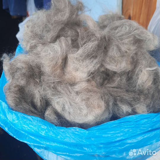 Горно-алтайский козий пух