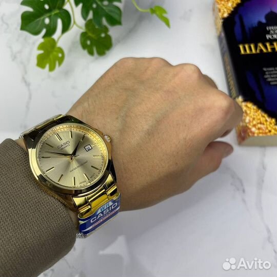 Часы мужские Casio Quartz #2685