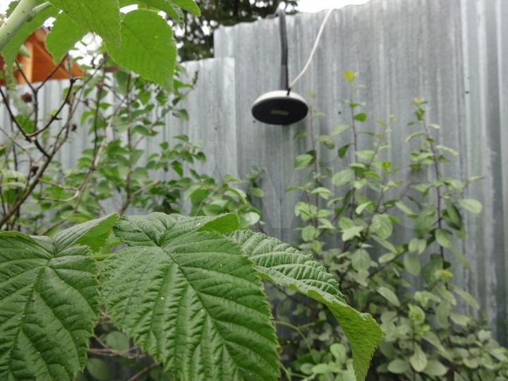 Участок 7 сот. (СНТ, ДНП)