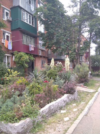 Комната 18 м² в 1-к., 5/5 эт.