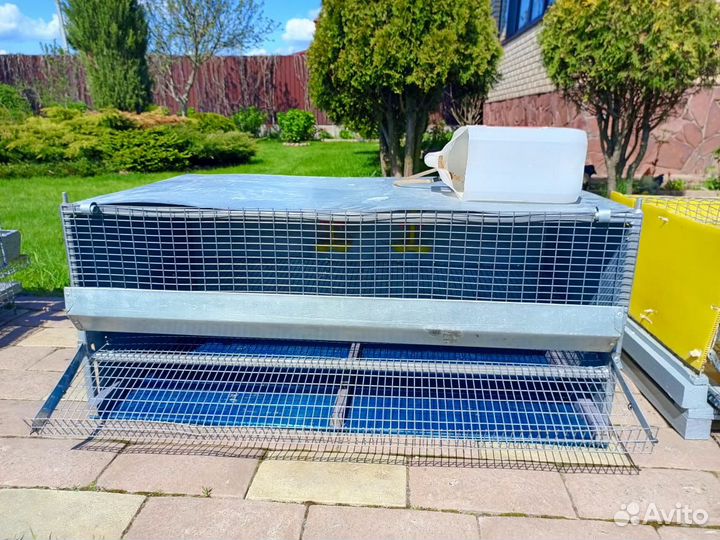 Клетки для перепелов бу