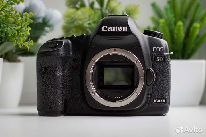 Canon 5D Mark II