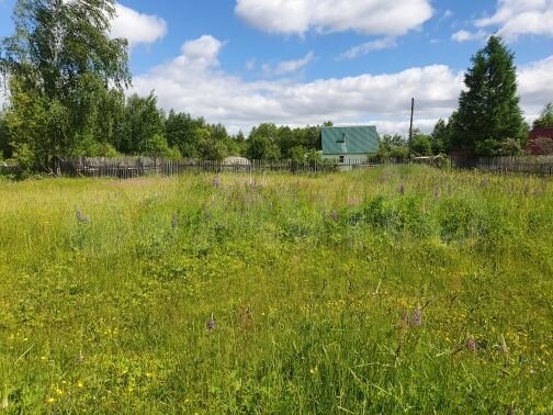 Участок 10 сот. (ИЖС)