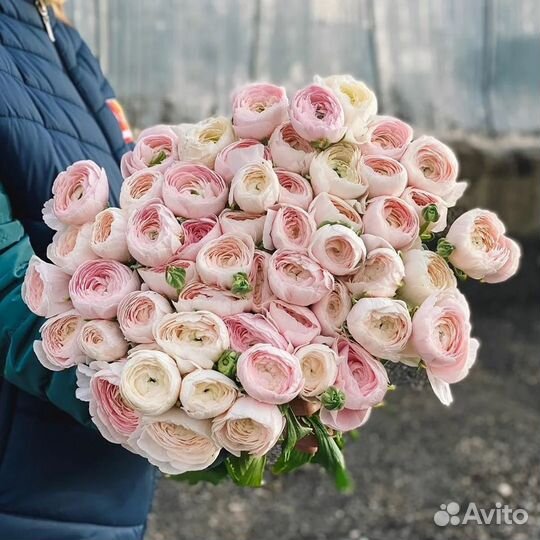 Букеты из ранункулюсов Цветы Доставка