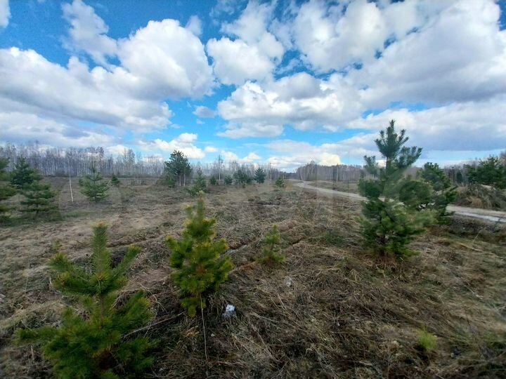 Участок 15 сот. (СНТ, ДНП)