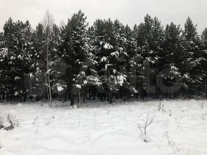 Участок 12,2 сот. (ИЖС)