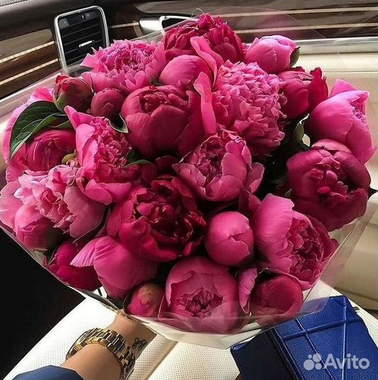 Пионы Букет пионов