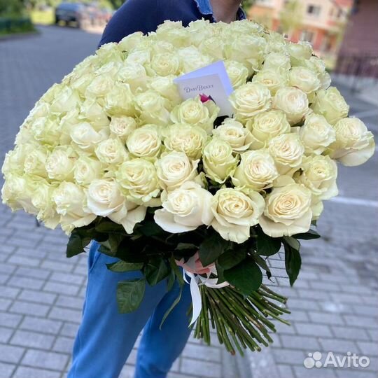 Розы 101 роза 51 роза 25 роза Пионовидные розы