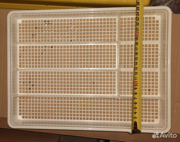 Отдам бесплатно в дар