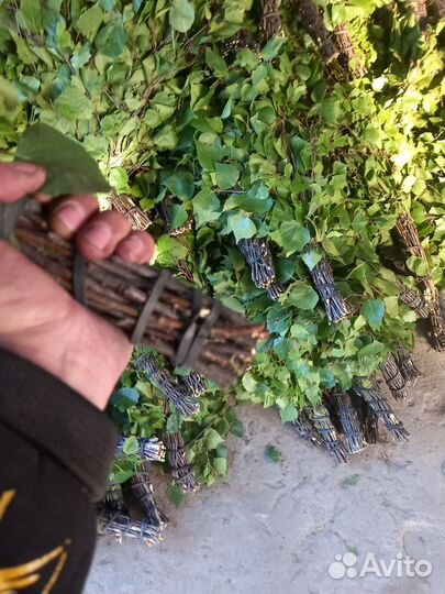 Веники дуб берёза