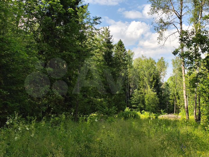 Участок 7 сот. (ИЖС)