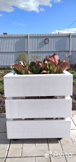 Кашпо для растений