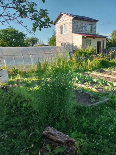 Дача 50 м² на участке 6 сот.