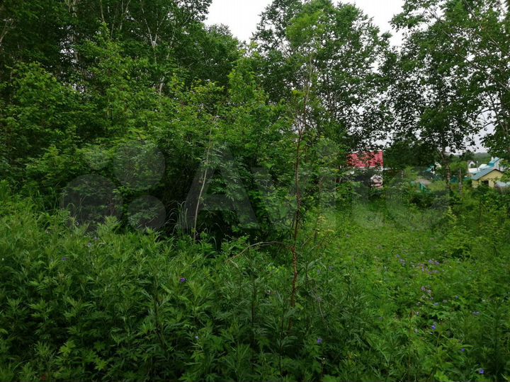 Участок 10 сот. (СНТ, ДНП)