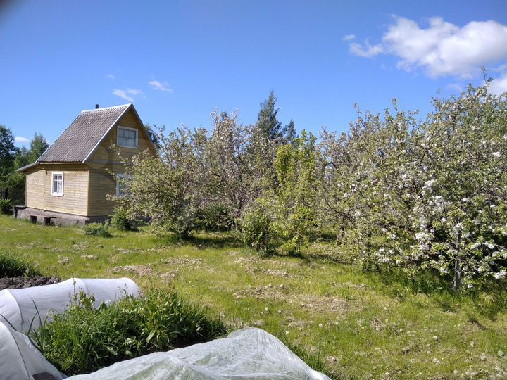 Дача 31 м² на участке 15 сот.