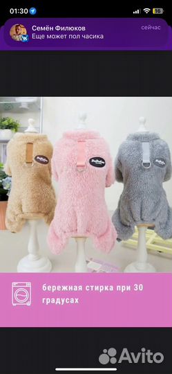 Комбинезон для маленькой собаки