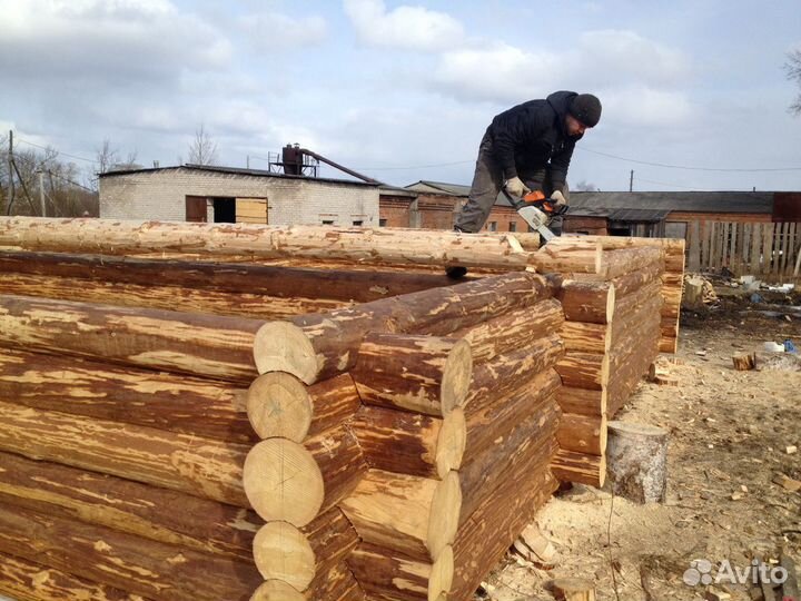 Срубы из Шексны