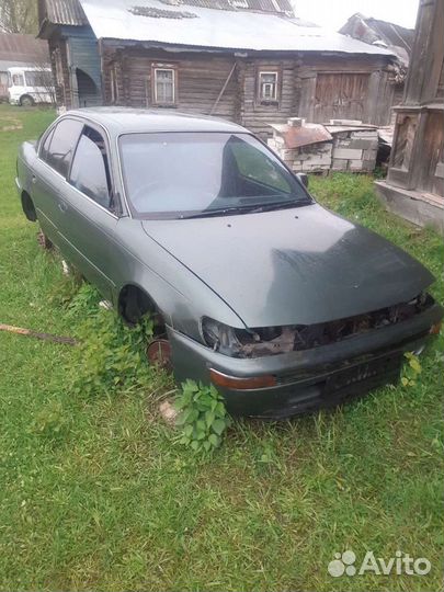 Toyota corolla100