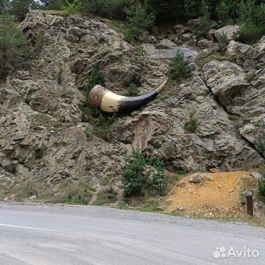 Поездки в горы, на море