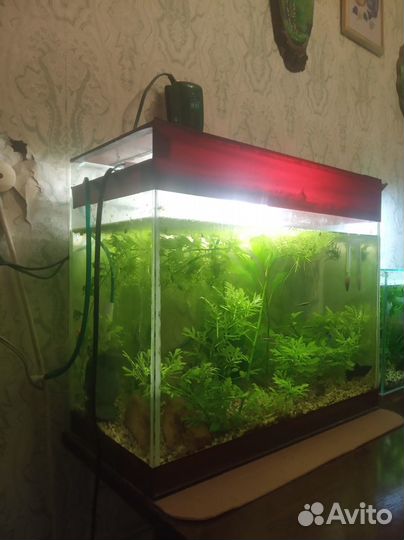 Аквариум 35 литров