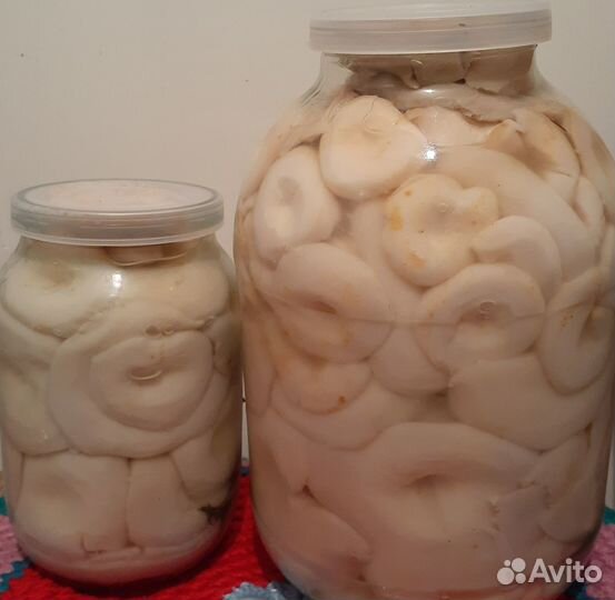 Грибы грузди соленые сухие