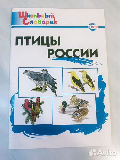 Детские книги о космосе, о природе, о животных