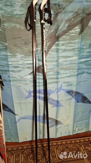 Лыжный комплект