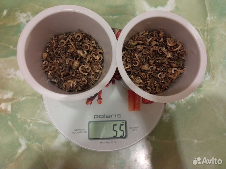 Календула/ Ноготки + Санберри в подарок