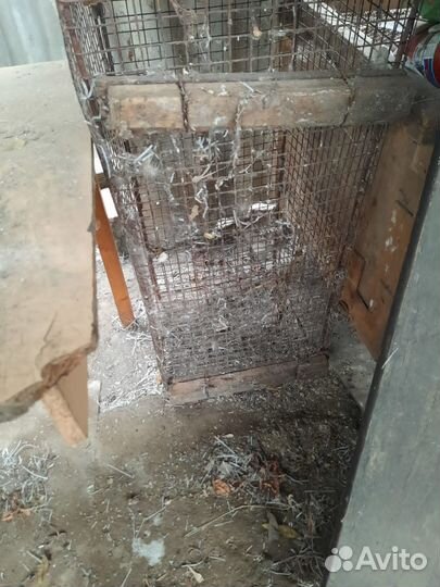 Клетка для кролика.нутрии птицы