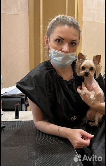 Стрижка собак